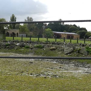 Hippopotamus Exhibit at Flamingo Land - 14/10/2012