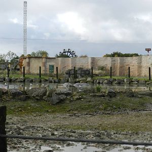 Hippopotamus Exhibit at Flamingo Land - 14/10/2012