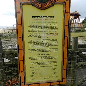 Hippopotamus sign at Flamingo Land - 14/10/2012