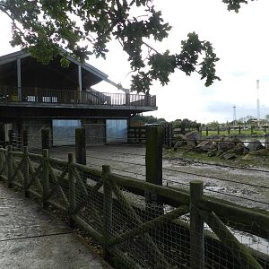 Hippopotamus House at Flamingo Land - 14/10/2012