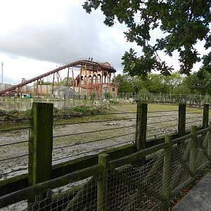 Hippopotamus Exhibit at Flamingo Land - 14/10/2012