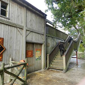 Hippopotamus House at Flamingo Land - 14/10/2012