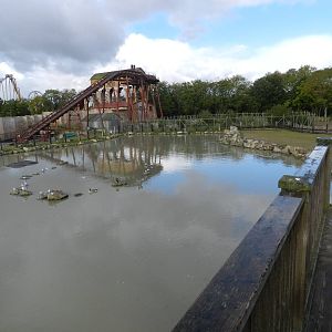 Hippopotamus Exhibit at Flamingo Land - 14/10/2012