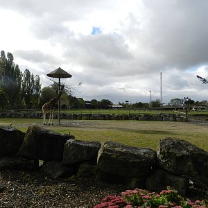 Lost Kingdom at Flamingo Land - 14/10/2012