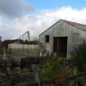 Giraffe House at Flamingo Land - 14/10/2012