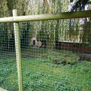 Sarus Crane Enclosure at Flamingo Land - 14/10/2012
