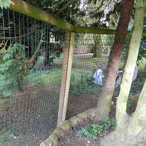 Sarus Crane Enclosure at Flamingo Land - 14/10/2012