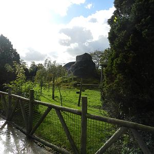 Lemur Enclosure at Flamingo Land - 14/10/2012