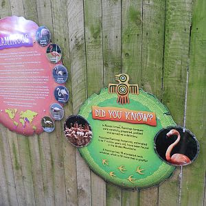 Flamingo Signage at Flamingo Land - 14/10/2012