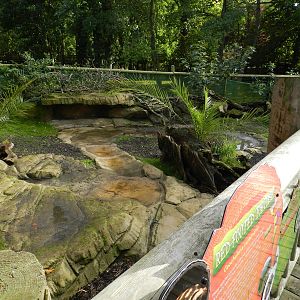 Red-footed Tortoise Enclosure at Flamingo Land - 14/10/2012