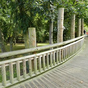 Raised Walkway at Flamingo Land - 14/10/2012