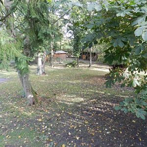 Capybara Enclosure at Flamingo Land - 14/10/2012