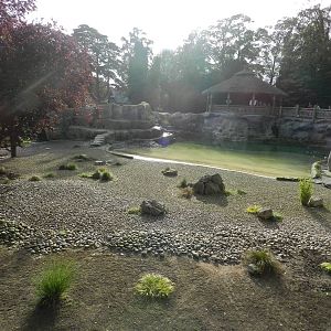 Penguin Coast at Flamingo Land - 14/10/2012