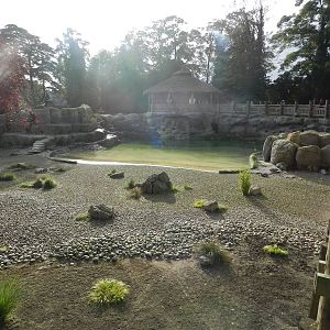 Penguin Coast at Flamingo Land - 14/10/2012