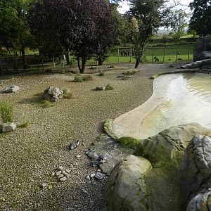 Penguin Coast at Flamingo Land - 14/10/2012