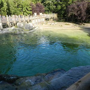Penguin Coast at Flamingo Land - 14/10/2012