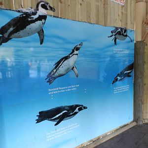 Penguin Coast Signage at Flamingo Land - 14/10/2012