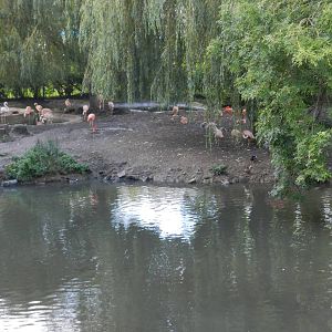 Flamingo Flats at Flamingo Land - 14/10/2012