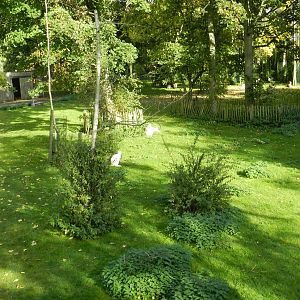 Wallaby/Kangaroo Enclosure at Flamingo Land - 14/10/2012