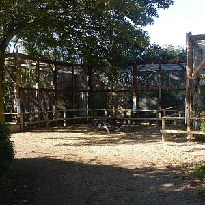 Owl Enclosures