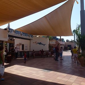 Eilat Underwater Observatory Marine Park 13.10.12