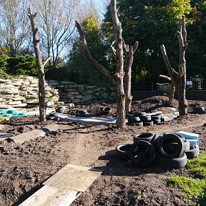 Current work on Bushdog enclosure.