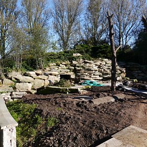 Current work on Bushdog enclosure.