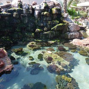 Eilat Underwater Observatory Marine Park 13.10.12
