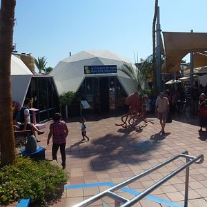 Eilat Underwater Observatory Marine Park 13.10.12