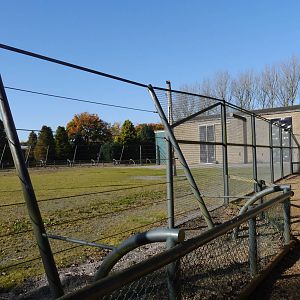 Empty Giraffe Enclosure.