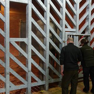 Noorjahan during training.