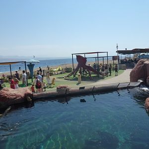 Eilat Underwater Observatory Marine Park 13.10.12