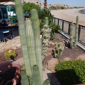 Eilat Underwater Observatory Marine Park 13.10.12