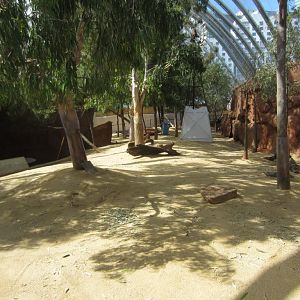 Macropod Walkthrough (under renovation)