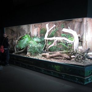 Scrub Python enclosure