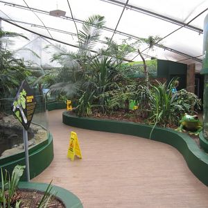 Turtles, Frogs and GTPs