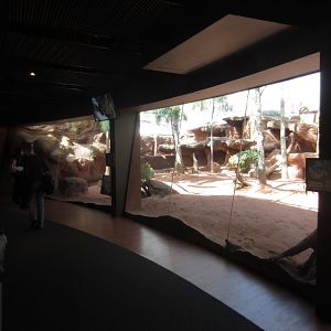 Rock Wallaby enclosure