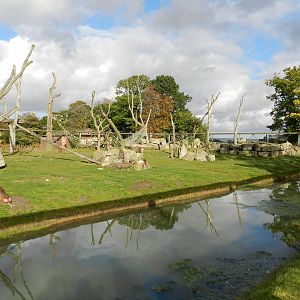 Baboon Island at Flamingo Land - 14/10/2012