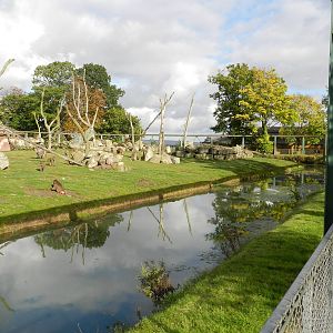 Baboon Island at Flamingo Land - 14/10/2012