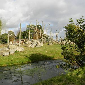 Baboon Island at Flamingo Land - 14/10/2012