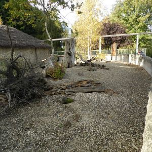Meerkat Exhibit at Flamingo Land - 14/10/2012
