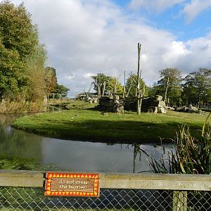 Baboon Island at Flamingo Land - 14/10/2012