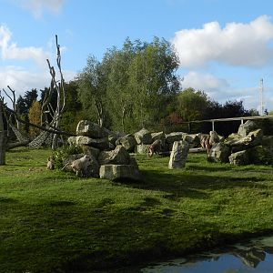 Baboon Island at Flamingo Land - 14/10/2012