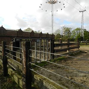 Rhinoceros Enclosure at Flamingo Land - 14/10/2012