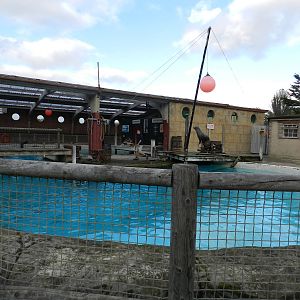 Sea Lion Show at Flamingo Land - 14/10/2012