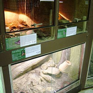 Vivaria at Prague Terrarium, 26/08/12