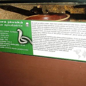 Signage Example at Prague Terrarium, 26/08/12