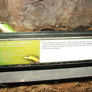 Signage Example at Prague Terrarium, 26/08/12