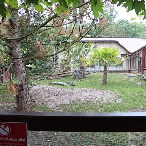 View of giant tortoise paddock