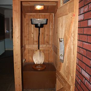 View of black widor spider exhibit